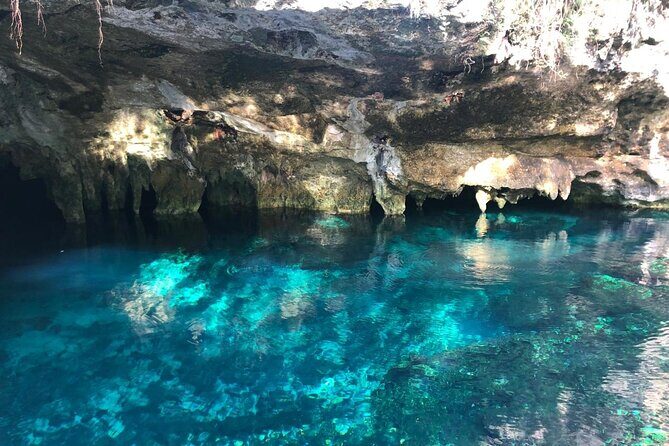 Cenote Triple Adventure Tour in Tulum - Cenote Zemway: 15 and 18 ft jumps, caves, and that adrenaline hit