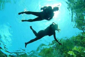Cenotes Private Tour VIP - Yal-ku Lagoon: the open-sky cenote stop that sets the tone
