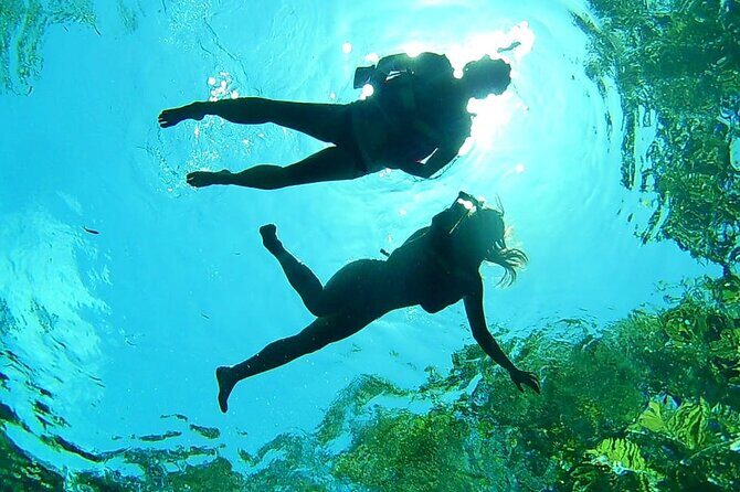 Cenotes Private Tour VIP - Yal-ku Lagoon: the open-sky cenote stop that sets the tone