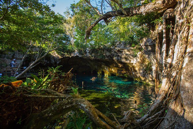 Cenotes trail jungle bike tour in Tulum with lunch - Jungle Bike Time in Tulum: what the ride is actually like