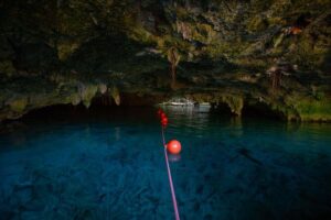 Cenotes trail jungle bike tour in Tulum with lunch - The Cenote Switch: from bike to water in a smooth rhythm