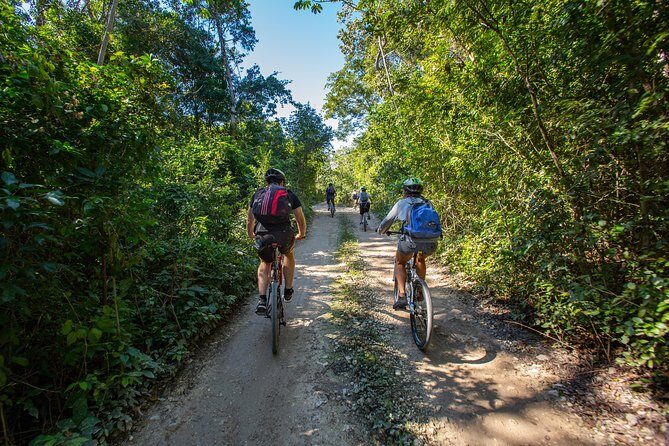 Cenotes trail jungle bike tour in Tulum with lunch - Zip lines, rope swing moments, and staying safe without killing the fun