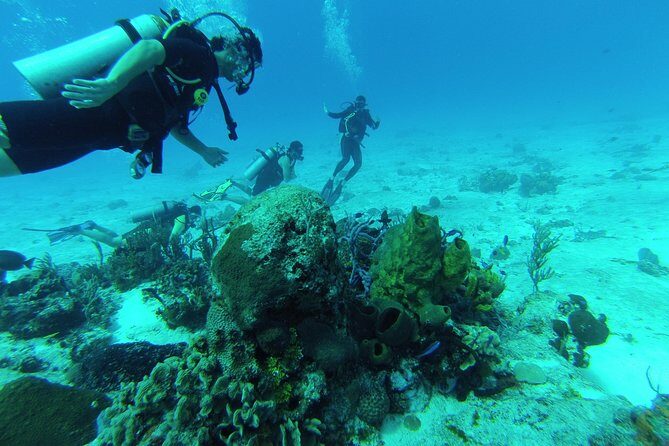 Chankanaab Cozumel Scuba Diving - Why Chankanaab is a smart pick for scuba in Cozumel