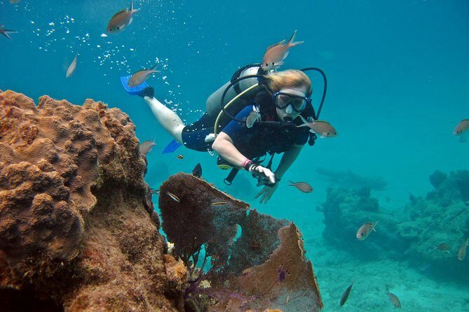 Chankanaab Cozumel Scuba Diving - Who should book this scuba experience in Cozumel