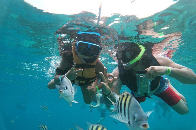 Chankanaab Park Admission + Snorkeling - Where Chankanaab is and how to get there without stress