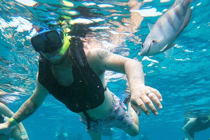 Chankanaab Park Admission + Snorkeling - Beach setup reality: loungers, lockers, and the rocky-entry heads-up