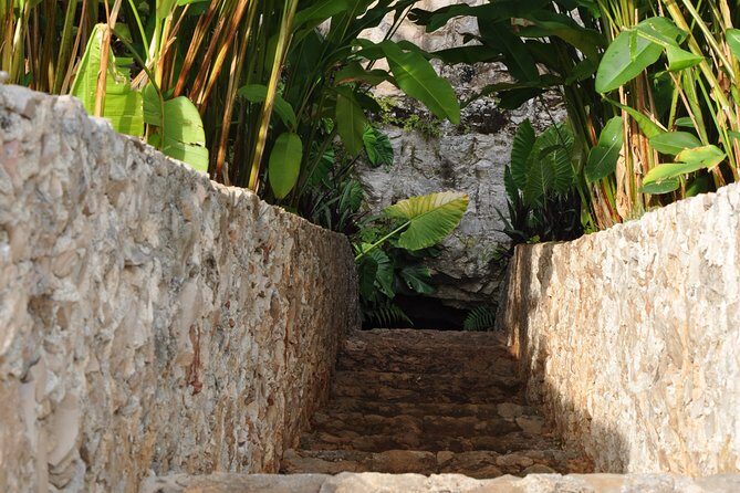 Choose your experience to live in Los 7 Cenotes San Gerónimo - Two cenotes, two moods: semi-open water to cavern-style cave