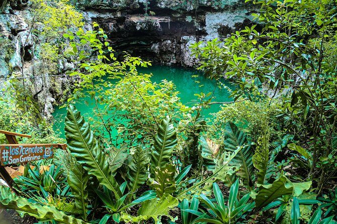 Choose your experience to live in Los 7 Cenotes San Gerónimo - The short bike ride that sets the tone (1 km 200 m)