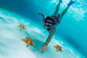 Cielito Cozumel: Mexican Caribbean Snorkeling Tour - Palancar Reef: coral fans, giant sponges, and cave-style snorkeling