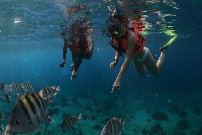 Clear Boat & Snorkel Cozumel Tour with Drinks - A tight 90 minutes: how sailing and snorkeling time fits