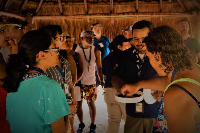 Coba and Tulum, cenote swim and buffet lunch - Tulum Archaeological Site: walking the walled city on the Caribbean coast