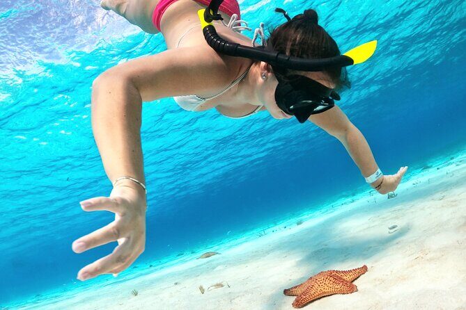 Colombia, Palancar & Cielo Cozumel Snorkel Tour - Price and value: what $65.71 really covers