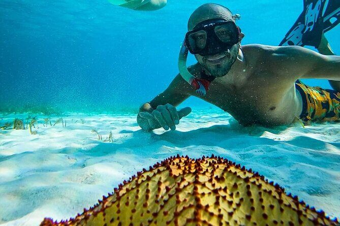 Colombia, Palancar & Cielo Cozumel Snorkel Tour - Snacks and drinks: the ceviche-and-rum rhythm