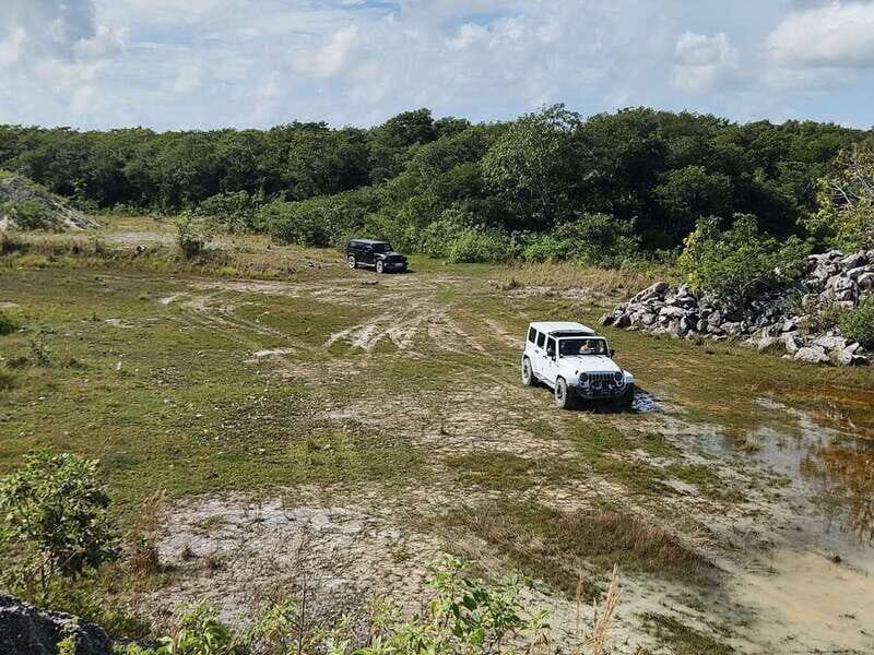 Cozumel: 5-Hour Private Caves and Ruins Tour with Lunch - Lost Mayan City Feel: Ruins, Statues, and Jungle Quiet