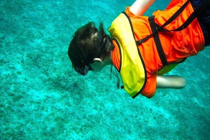 Cozumel Buggy Tour: Snorkeling , Otoch Mayan Experience & Lunch - Price and value at $69 for snorkeling, lunch, and a multi-part cultural program
