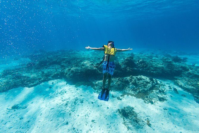 Cozumel Catamaran Snorkeling Tour & lunch® - A 6-hour Cozumel day that hits reefs, starfish, and a sandbar