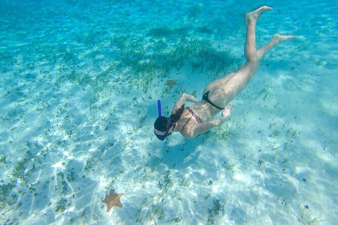 Cozumel Catamaran Snorkeling Tour & lunch® - El Cielo starfish sanctuary: the calm, respectful version of Cozumel