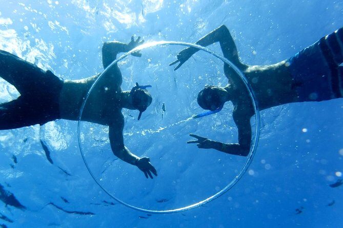 Cozumel Catamaran Snorkeling Tour & lunch® - Reef snorkeling at Colombia or Palancar: safety first, then wow-factor