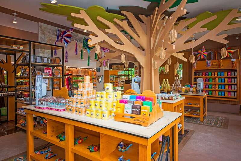 Cozumel: Chocolate Workshop at The Mayan Cacao Company - Who This Workshop Is Best For (And Who Should Skip It)