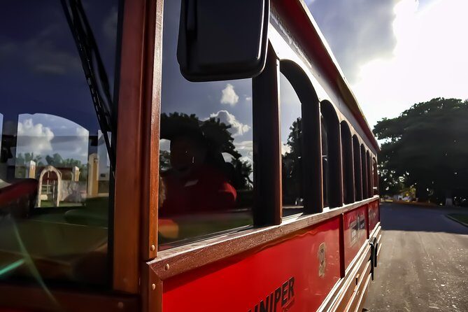 Cozumel City Tour By Trolley - Getting on board: meeting points that actually matter on cruise days