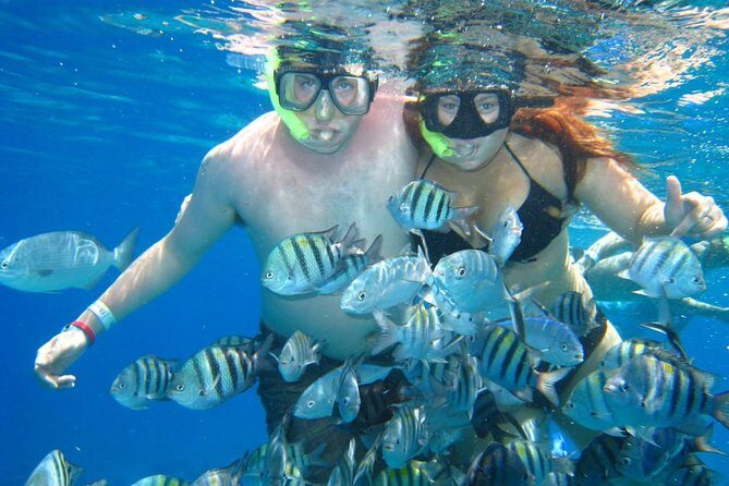 Cozumel Coral Reef Snorkeling by Glass Bottom Boat with Guide - Rough-water days: how they handle the real weather