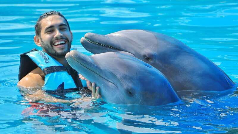 Cozumel: Dolphin Royal Connection and Manatee Interaction - Royal Swim in Cozumel: what you’re really signing up for