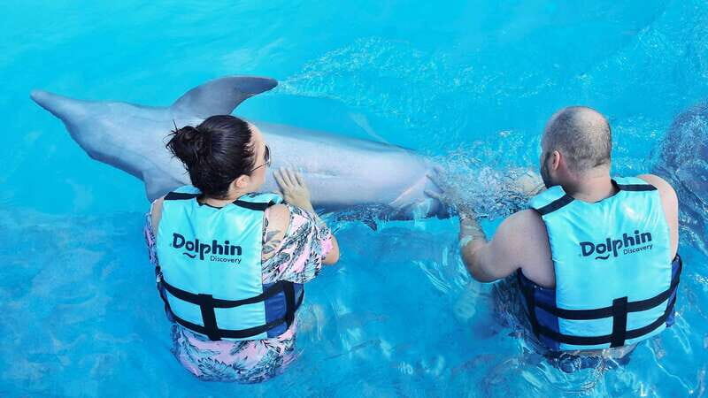 Cozumel: Dolphin Royal Connection and Manatee Interaction - The dolphin portion: time limits, group flow, and the part you can’t control