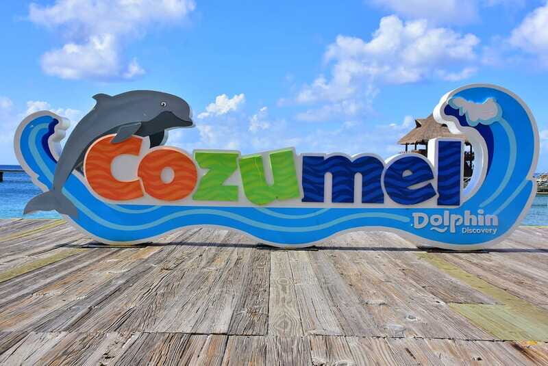 Cozumel: Dolphin Royal Connection and Manatee Interaction - Lunch in the VIP area: the practical payoff