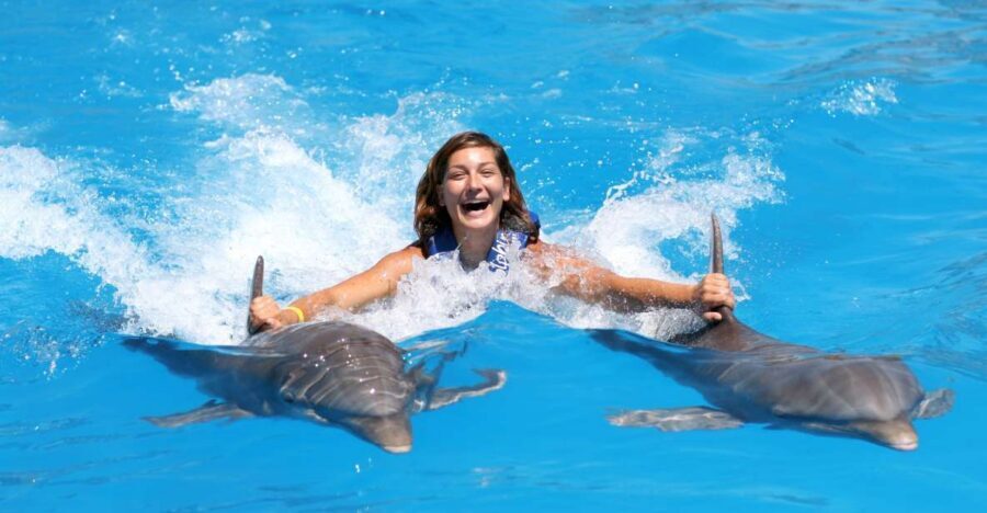 Cozumel: Dolphin Royal Connection and Manatee Interaction - Price and add-on costs: where $135 can grow