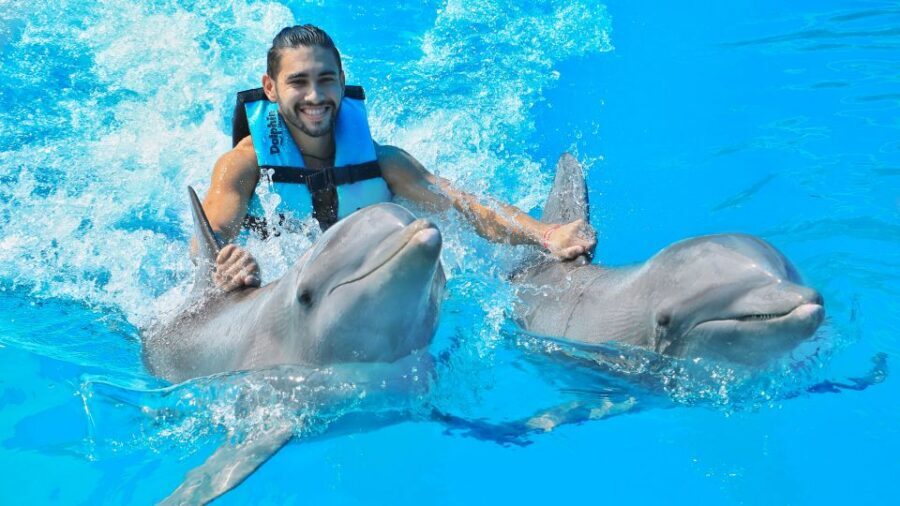 Cozumel: Dolphin Royal Connection and Manatee Interaction - Height and who this experience is for