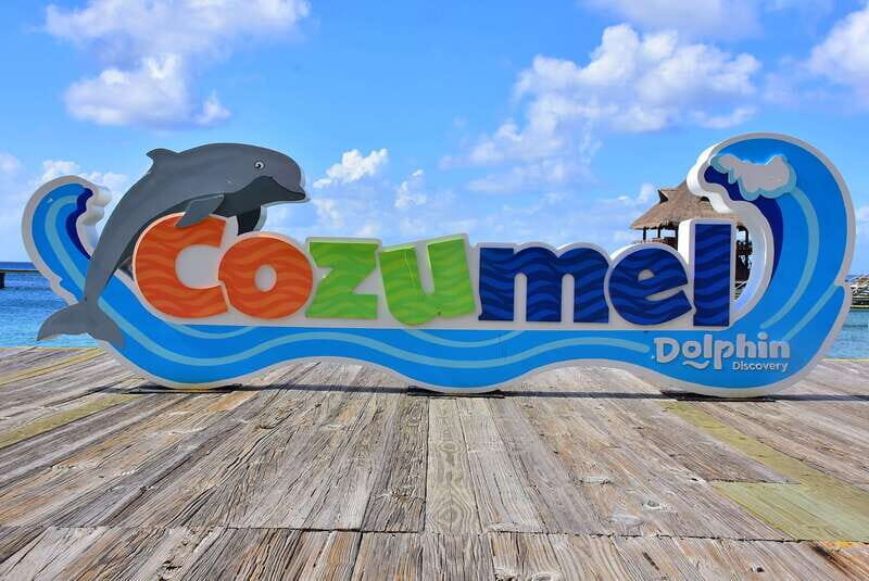 Cozumel: Dolphin Royal Connection and Manatee Interaction - Anatomy, blowholes, and why it feels different from a quick encounter