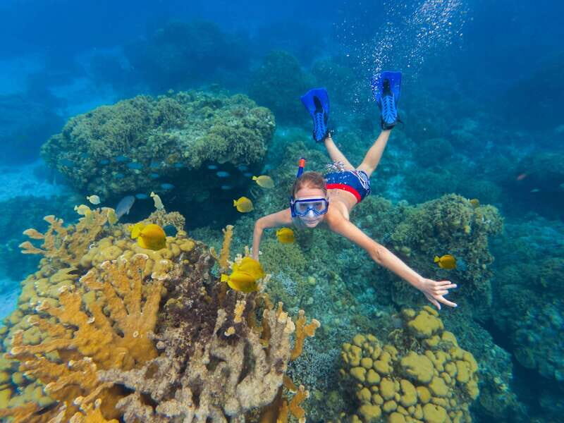 Cozumel: El Cielo, Palancar Reef, and Beach Party with Food - Key highlights you’ll actually care about