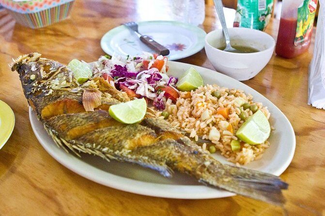 Cozumel Food Tour - Price and logistics: $90 for 3 hours, with transport and meals covered