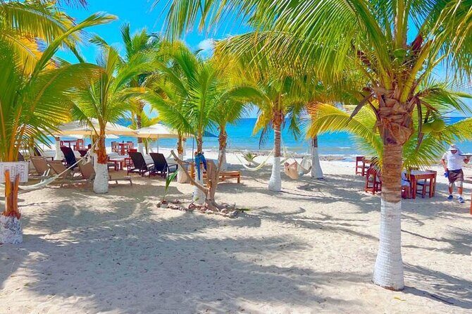 Cozumel Jeep Adventure Natural Cenote & Mayan Experience OTOCH - Private Tour Comfort and Scheduling: Making the Day Flow Smoothly