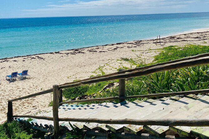 Cozumel Jeep Adventure Natural Cenote & Mayan Experience OTOCH - Should You Book This Cozumel Adventure?