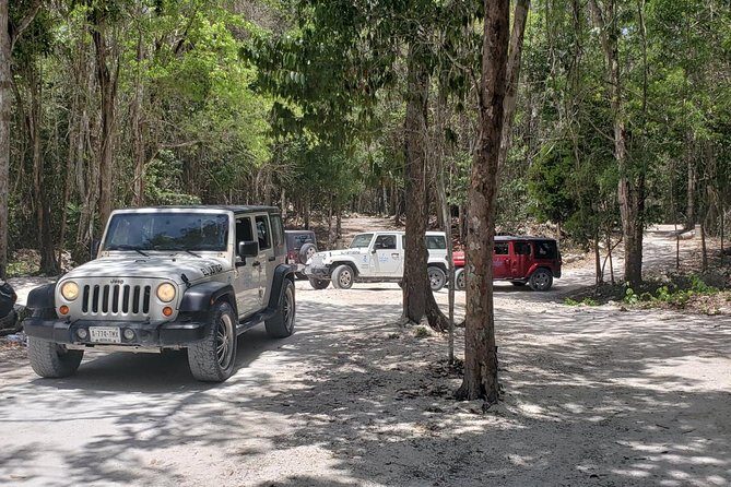 Cozumel Jeep Adventure to Jade Caverns with Lunch and Snorkel - Know Before You Go: Meeting Points, Ride Comfort, and Rougher Roads