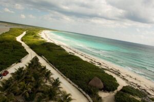 Cozumel Jeep and Snorkel Adventure with Lunch at Punta Sur Park - Guided snorkeling in a protected bay for turtles and tropical fish