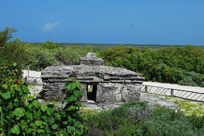 Cozumel Jeep and Snorkel Adventure with Lunch at Punta Sur Park - Best for families, couples, and people who like doing things