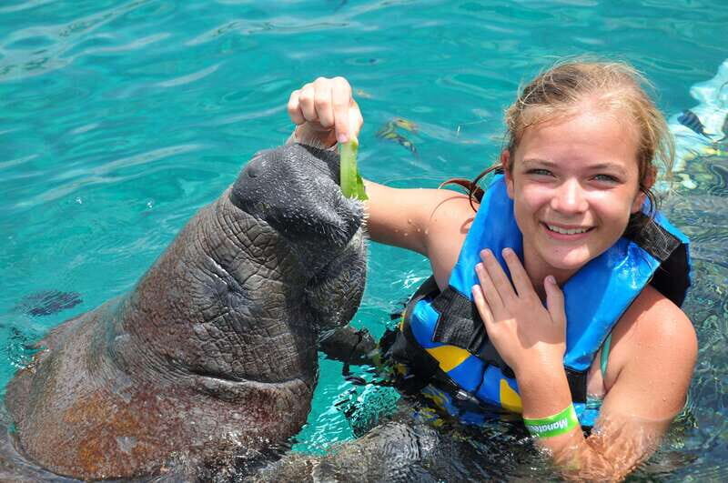 Cozumel: Manatee Encounter, Chankanaab Admission and Buffet - Chankanaab National Park: Use Your Included Admission Wisely
