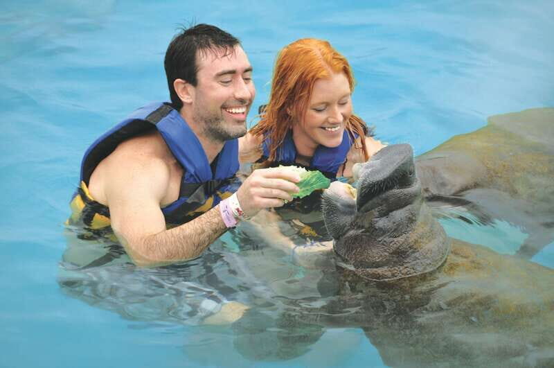 Cozumel: Manatee Encounter, Chankanaab Admission and Buffet - The Buffet and Drinks: Included Lunch Without a Big Planning Headache