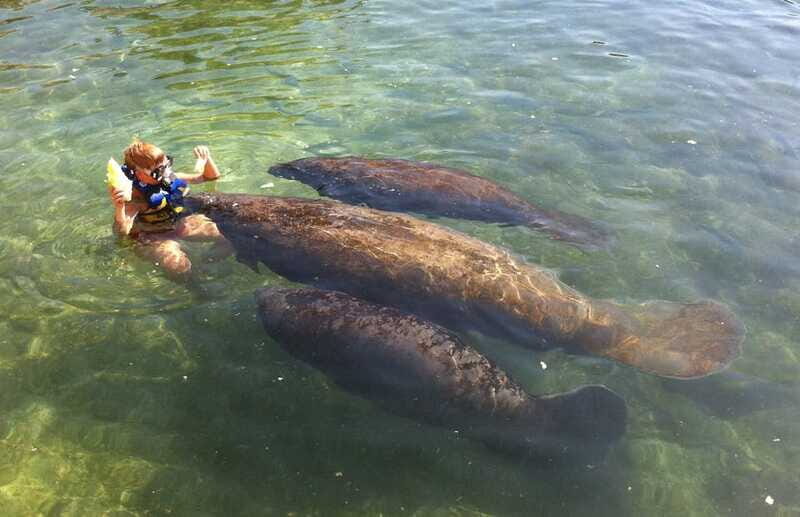 Cozumel: Manatee Encounter, Chankanaab Admission and Buffet - Timing on Cozumel: Build a Buffer for a Smooth Day
