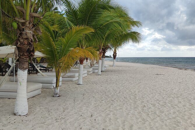 Cozumel Mayan Ruins and Beach Break - The San Gervasio Mayan Archaeological Site: The One Pyramid on Cozumel