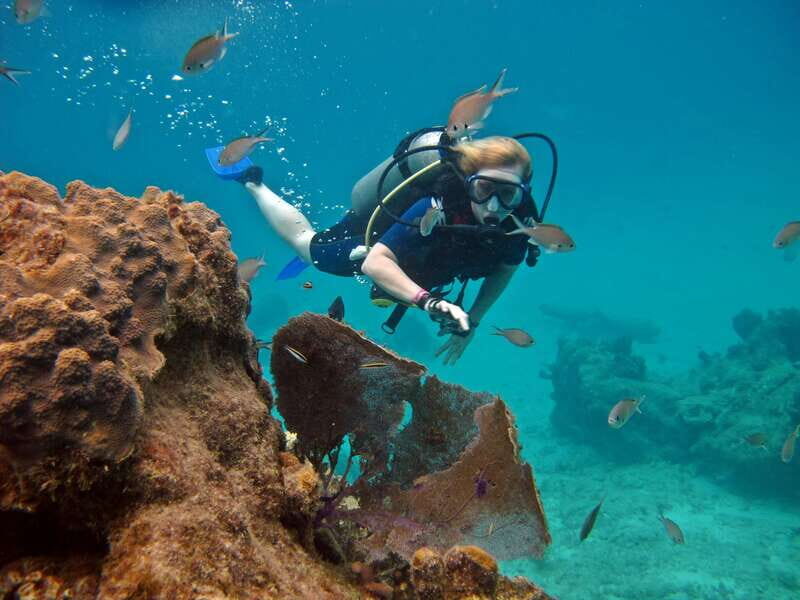 Cozumel: One Tank Scuba Dive and Full Chankanaab Park Access - One-tank intro scuba at Chankanaab: why it works