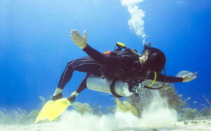 Cozumel: One Tank Scuba Dive and Full Chankanaab Park Access - Meet-up and getting your gear sorted