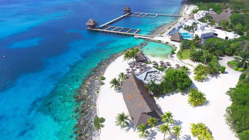 Cozumel: One Tank Scuba Dive and Full Chankanaab Park Access - The underwater world you’re actually paying for