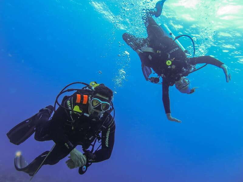 Cozumel: One Tank Scuba Dive and Full Chankanaab Park Access - Who this tour is best for