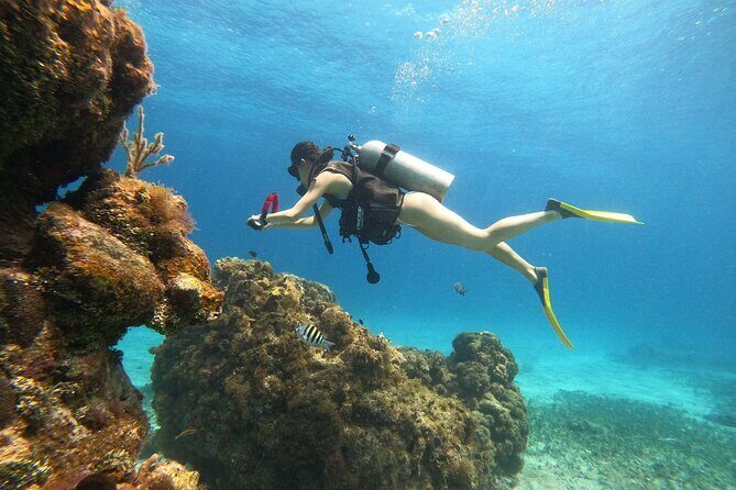 Cozumel Scuba Dive at Chankanaab - Chankanaab: why this park works for your first tank session