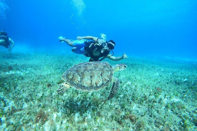 Cozumel Scuba Dive at Chankanaab - What you’ll likely see under the water (fish, caves, and sculptures)