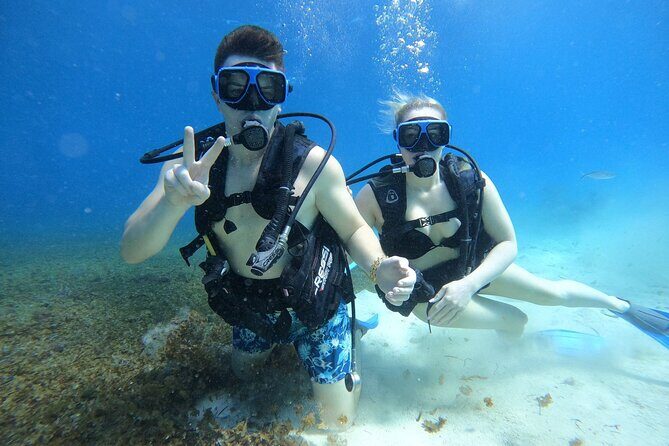Cozumel Scuba Dive at Chankanaab - Price and value: what $85 really buys you (plus the $11 fee)