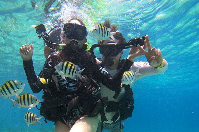 Cozumel Scuba Dive at Chankanaab - Getting there: meeting point and how to plan for cruise days
